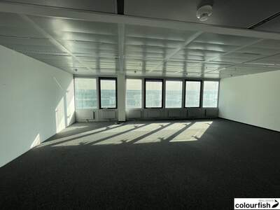 Gewerbeobjekt mieten in 1220 Wien (Bild 4)