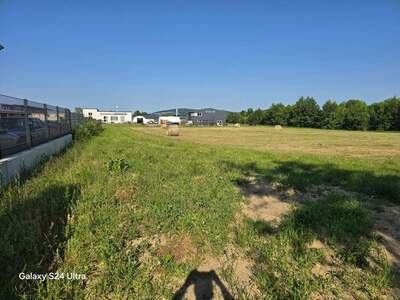 Grundstück provisionsfrei kaufen in 3441 Einsiedl