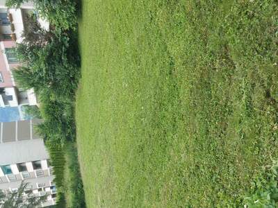 Plot / Land provisionsfrei kaufen in 8700 Leoben