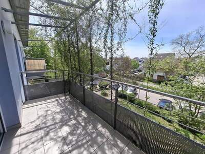 Wohnung mieten in 2130 Mistelbach