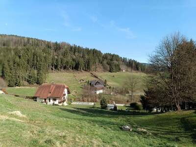 Grundstück kaufen in 8152 Geistthal