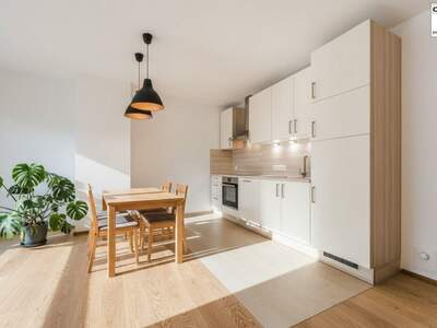 Wohnung mit Balkon mieten in 4866 Unterach (Bild 3)
