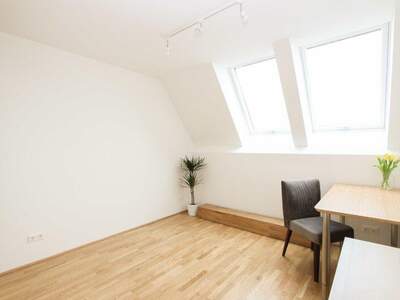 Terrassenwohnung mieten in 1070 Wien (Bild 4)