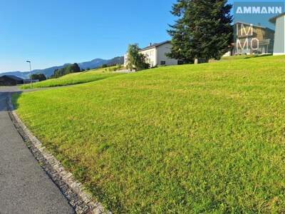 Grundstück kaufen in 6834 Übersaxen (Bild 2)