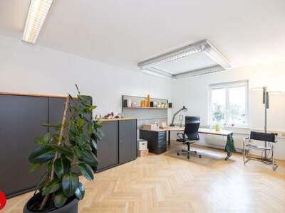 Büro / Praxis mieten in 2320 Schwechat (Bild 1)