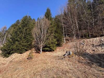 Grundstück kaufen in 6212 Maurach (Bild 5)