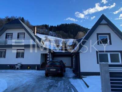 Einfamilienhaus kaufen in 8784 Trieben (Bild 1)