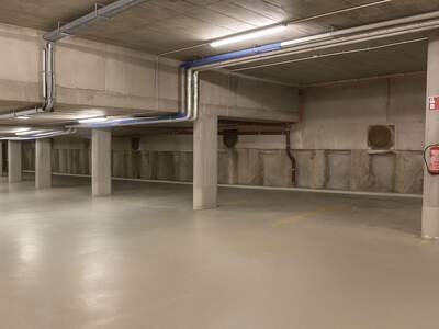 Halle / Lager / Produktion mieten in 4600 Wels (Bild 2)