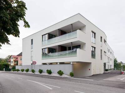 Wohnung mieten in 4600 Thalheim