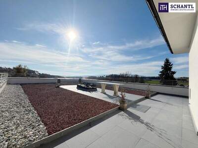 Terrassenwohnung kaufen in 8113 Sankt Bartholomä (Bild 3)