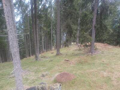 Gewerbeobjekt kaufen in 9542 Verditz (Bild 1)