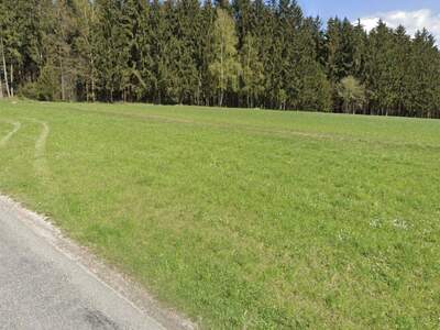 Grundstück kaufen in 3372 Blindenmarkt