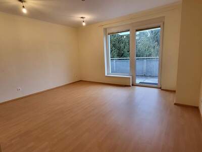 Terrassenwohnung mieten in 2851 Krumbach (Bild 2)