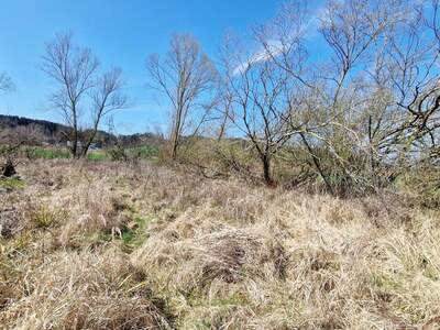 Grundstück kaufen in 4850 Timelkam (Bild 4)