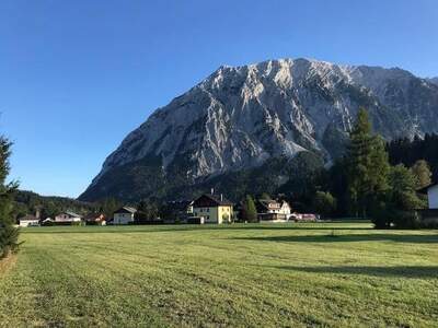 Grundstück provisionsfrei kaufen in 8982 Tauplitz