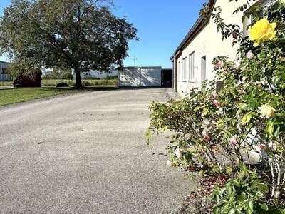 Gewerbeobjekt mieten in 4623 Gunskirchen (Bild 3)