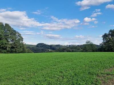 Grundstück kaufen in 8380 Jennersdorf