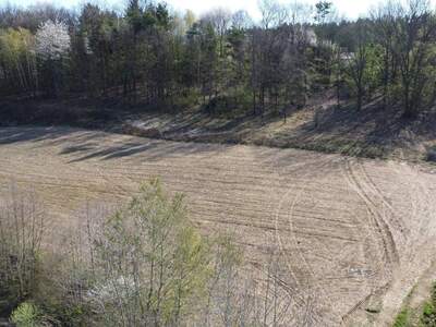 Grundstück kaufen in 7551 Stegersbach