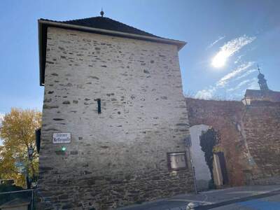 Wohnung mieten in 3500 Krems