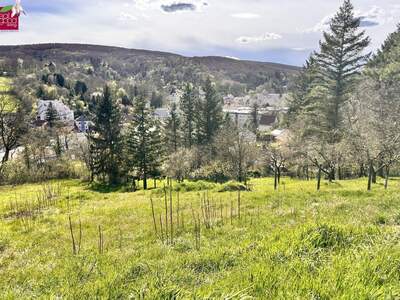 Grundstück kaufen in 3400 Klosterneuburg (Bild 2)