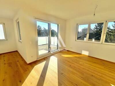 Haus kaufen in 1220 Wien (Bild 5)