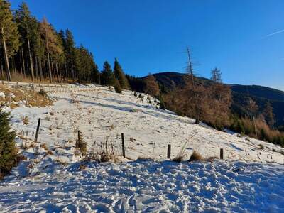 Grundstück kaufen in 9400 Wolfsberg