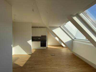 Anlageobjekt kaufen in 1220 Wien