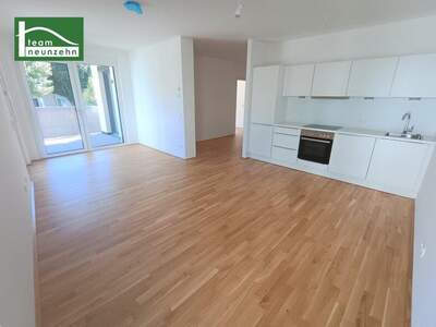 Terrassenwohnung mieten in 3100 St. Pölten (Bild 1)