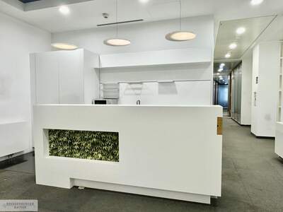 Gewerbeobjekt mieten in 1010 Wien (Bild 5)