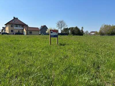 Grundstück kaufen in 4975 Suben