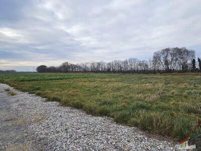 Grundstück kaufen in 2433 Margarethen (Bild 2)