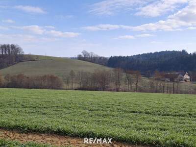Gewerbeobjekt kaufen in 4084 St. Agatha
