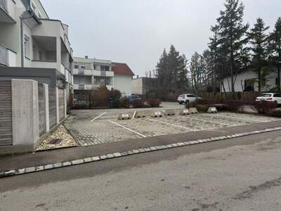 Halle / Lager / Produktion mieten in 2540 Bad Vöslau (Bild 3)