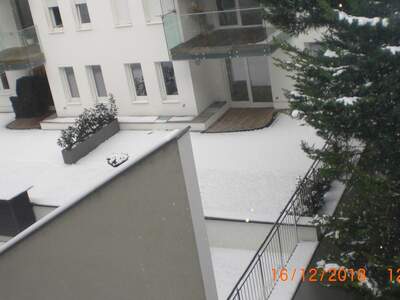 Wohnung mieten in 1200 Wien (Bild 4)