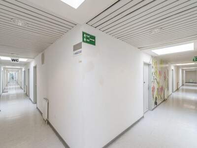 Gewerbeobjekt mieten in 1110 Wien (Bild 4)