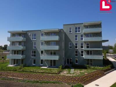 Wohnung mit Balkon kaufen in 4481 Asten (Bild 5)