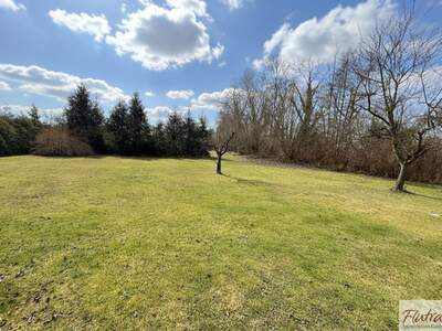 Grundstück kaufen in 4614 Marchtrenk (Bild 4)