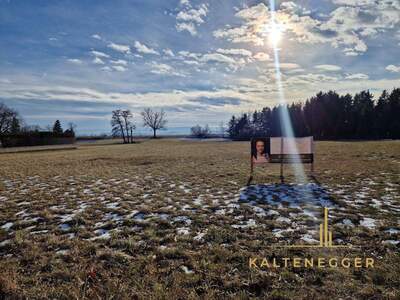 Grundstück kaufen in 2722 Weikersdorf