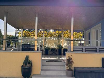 Haus mit Garten mieten in 2273 Hohenau (Bild 3)