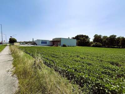 Gewerbeobjekt kaufen in 7400 Oberwart (Bild 2)