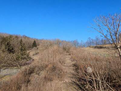 Grundstück kaufen in 2100 Leobendorf (Bild 2)