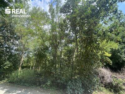 Grundstück kaufen in 2425 Nickelsdorf (Bild 2)