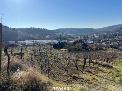 Grundstück kaufen in 3500 Imbach