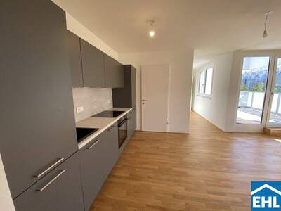 Terrassenwohnung mieten in 1110 Wien (Bild 4)