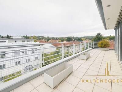 Wohnung kaufen in 1190 Wien (Bild 2)