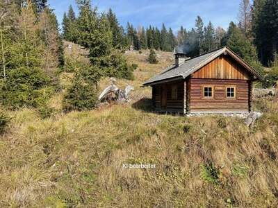 Grundstück kaufen in 8850 Murau