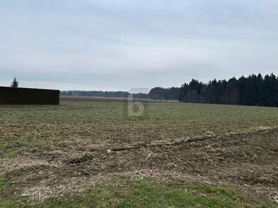 Grundstück kaufen in 8424 Gabersdorf