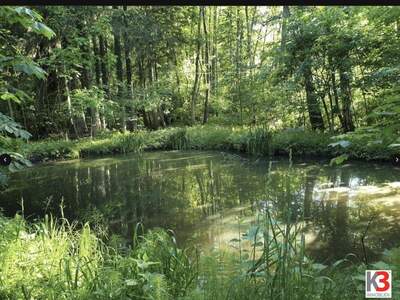 Haus kaufen in 5020 Salzburg