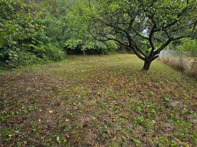Einfamilienhaus kaufen in 3400 Kierling (Bild 4)