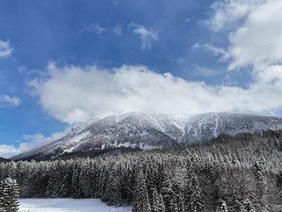 Einfamilienhaus kaufen in 3295 Lackenhof (Bild 3)